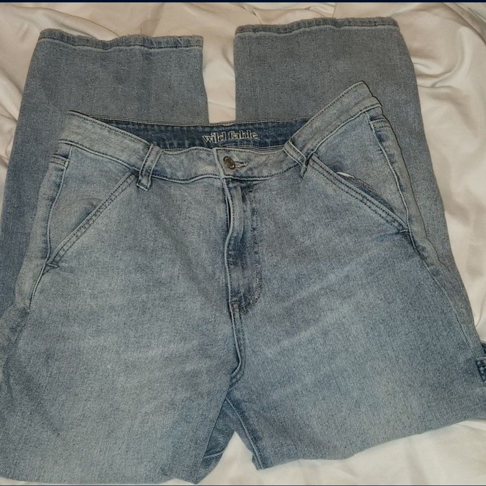 Wild fable jeans